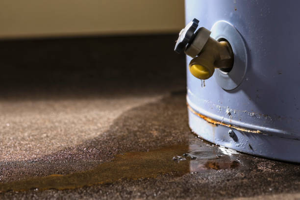 Best Water damage restoration near me  in Merlin, OR