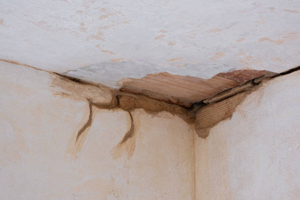 Best Water damage restoration process  in Merlin, OR