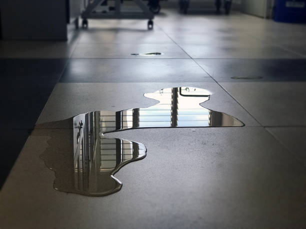 Best Water damage restoration services  in Merlin, OR