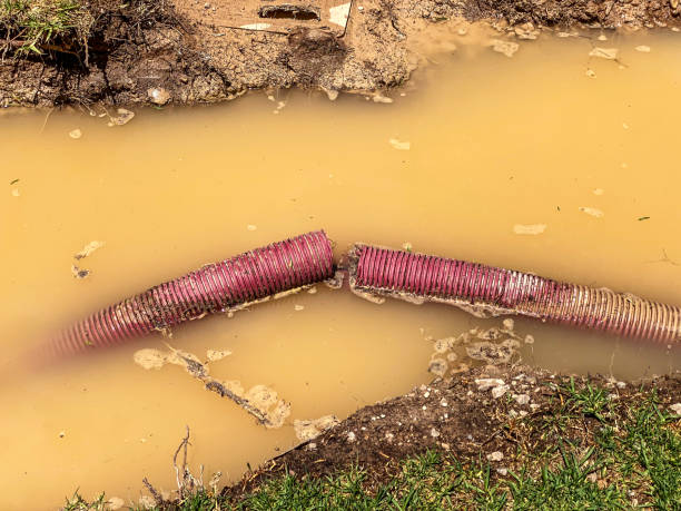 Professional Water damage restoration in Merlin, OR