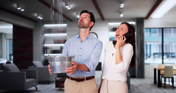 Best Professional water damage repair  in Merlin, OR